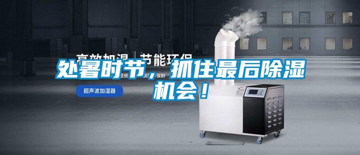 處暑時(shí)節(jié),抓住最后除濕機(jī)會(huì)!