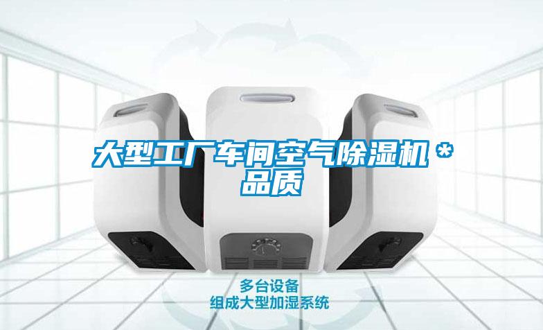 大型工廠車間空氣除濕機(jī)*品質(zhì)