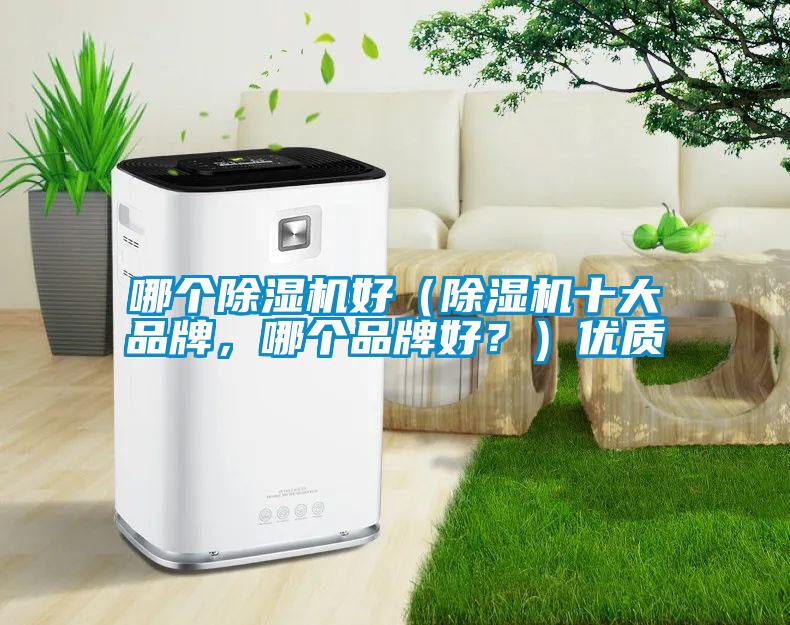 哪個除濕機好(除濕機十大品牌,哪個品牌好?)優質