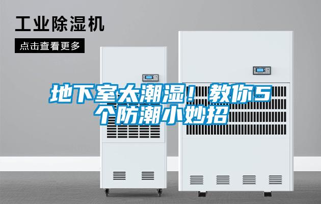 地下室太潮濕!教你5個防潮小妙招