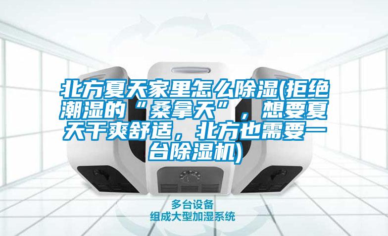 北方夏天家里怎么除濕(拒絕潮濕的“桑拿天”,想要夏天干爽舒適,北方也需要一臺除濕機)