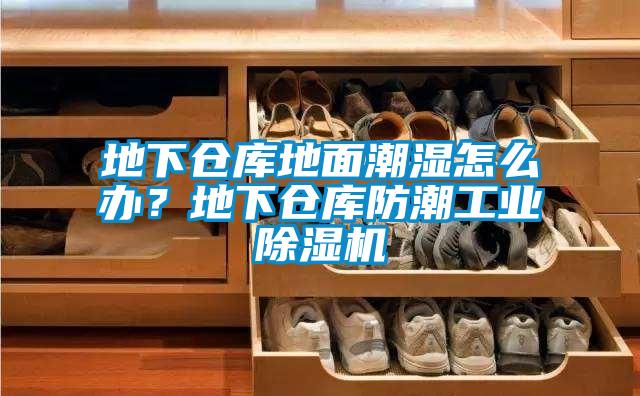地下倉庫地面潮濕怎么辦?地下倉庫防潮工業(yè)除濕機(jī)