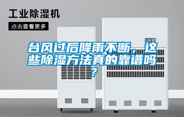 臺風過后降雨不斷,這些除濕方法真的靠譜嗎?