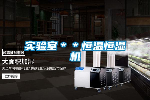 實(shí)驗(yàn)室**恒溫恒濕機(jī)