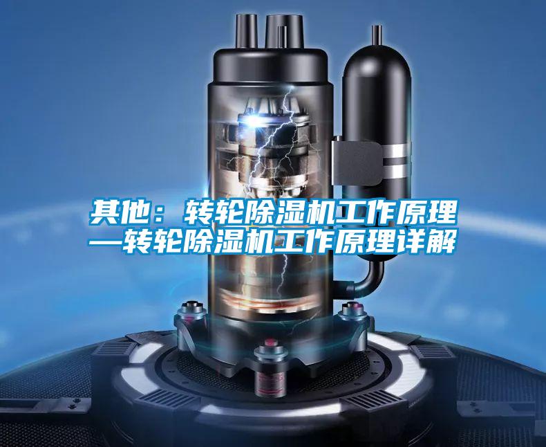 其他:轉(zhuǎn)輪除濕機工作原理—轉(zhuǎn)輪除濕機工作原理詳解