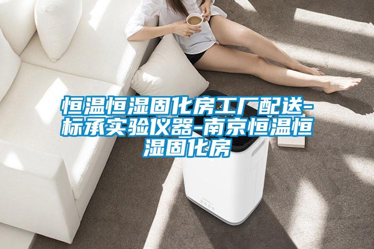 恒溫恒濕固化房工廠配送-標承實驗儀器-南京恒溫恒濕固化房