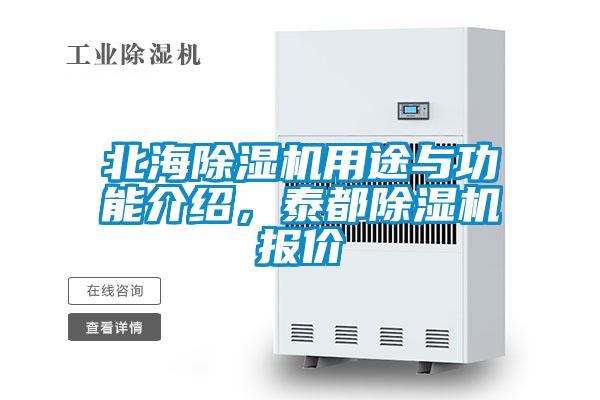 北海除濕機用途與功能介紹，泰都除濕機報價