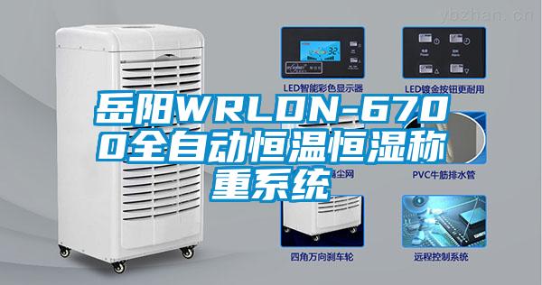 岳陽WRLDN-6700全自動恒溫恒濕稱重系統