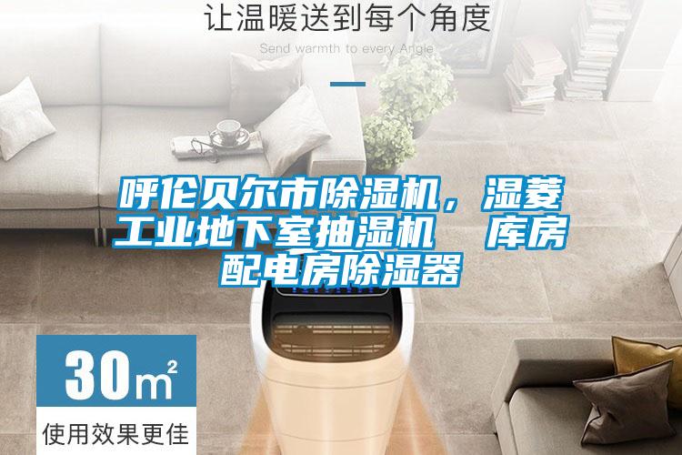 呼倫貝爾市除濕機，濕菱工業地下室抽濕機  庫房配電房除濕器