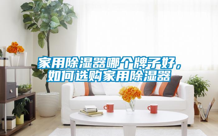 家用除濕器哪個牌子好，如何選購家用除濕器