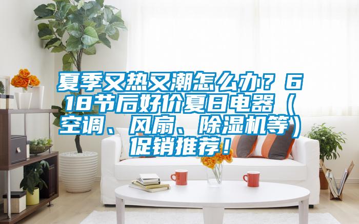 夏季又熱又潮怎么辦?618節后好價夏日電器(空調、風扇、除濕機等)促銷推薦!