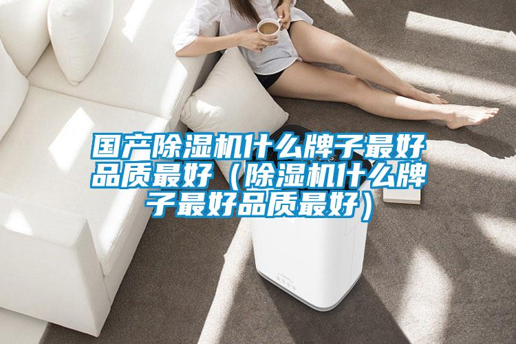 國產除濕機什么牌子最好品質最好(除濕機什么牌子最好品質最好)