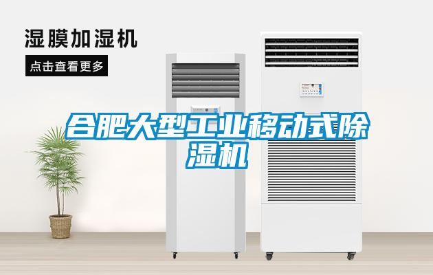 合肥大型工業(yè)移動式除濕機