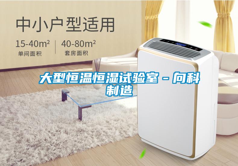 大型恒溫恒濕試驗室-向科制造