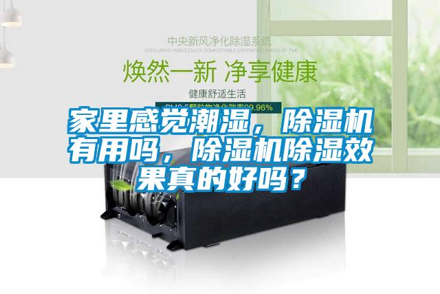 家里感覺潮濕，除濕機有用嗎，除濕機除濕效果真的好嗎？