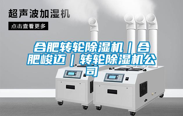 合肥轉(zhuǎn)輪除濕機(jī)｜合肥峻邁｜轉(zhuǎn)輪除濕機(jī)公司