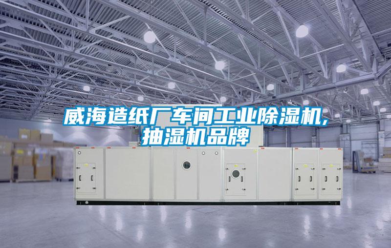 威海造紙廠車間工業除濕機,抽濕機品牌