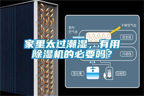 家里太過潮濕,有用除濕機的必要嗎?