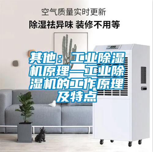 其他:工業(yè)除濕機原理—工業(yè)除濕機的工作原理及特點