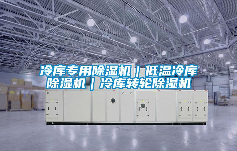 冷庫專用除濕機|低溫冷庫除濕機|冷庫轉輪除濕機