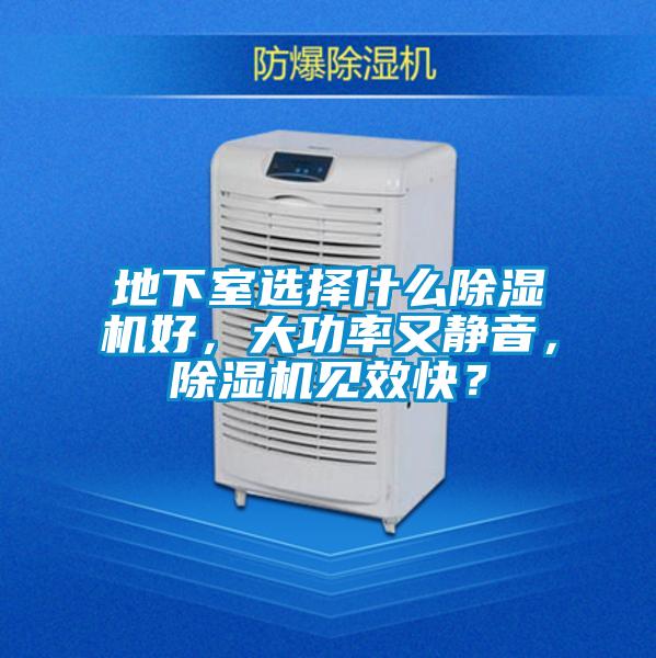 地下室選擇什么除濕機好,大功率又靜音,除濕機見效快?