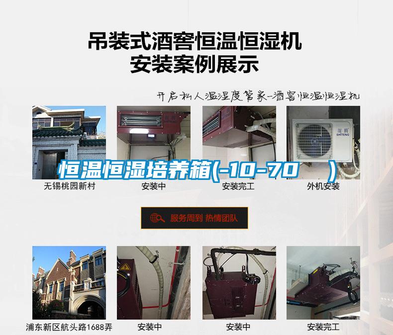 恒溫恒濕培養箱(-10-70 ℃)