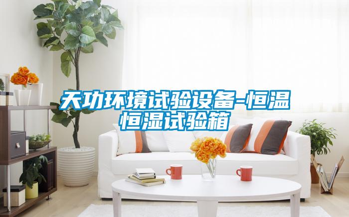 天功環境試驗設備-恒溫恒濕試驗箱