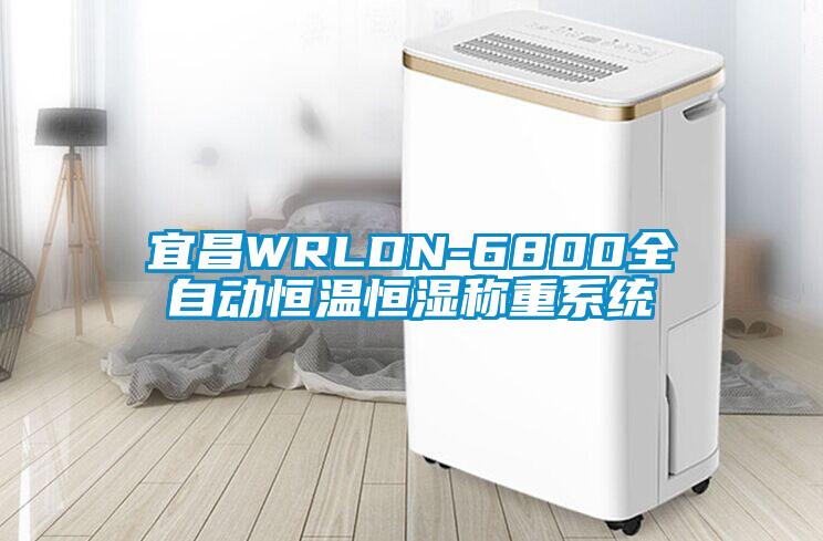 宜昌WRLDN-6800全自動恒溫恒濕稱重系統