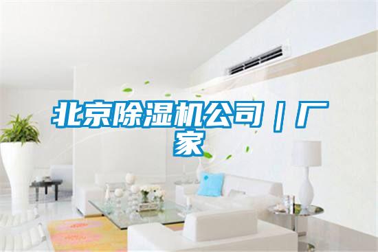 北京除濕機公司|廠家