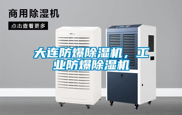 大連防爆除濕機(jī),工業(yè)防爆除濕機(jī)
