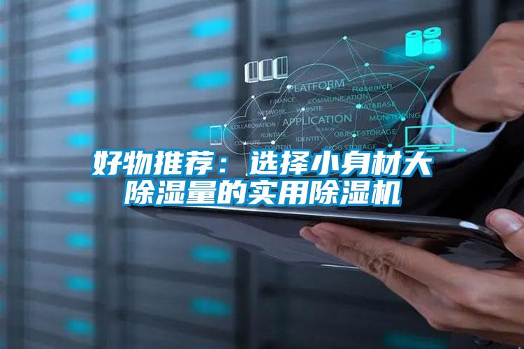 好物推薦:選擇小身材大除濕量的實用除濕機