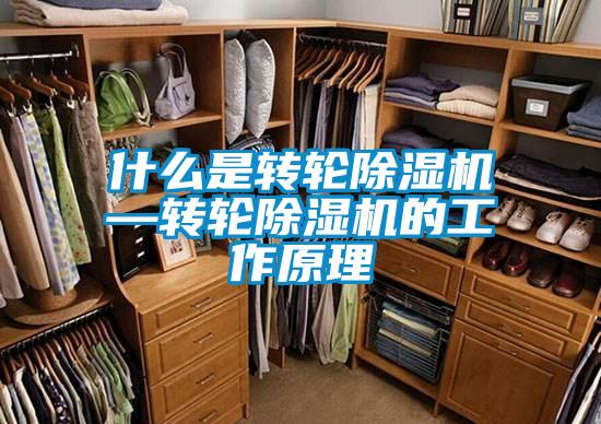 什么是轉輪除濕機—轉輪除濕機的工作原理