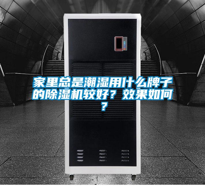 家里總是潮濕用什么牌子的除濕機較好？效果如何？