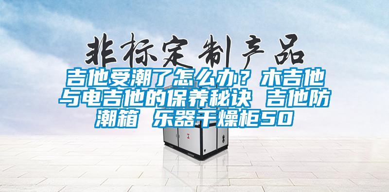 吉他受潮了怎么辦？木吉他與電吉他的保養秘訣 吉他防潮箱 樂器干燥柜50