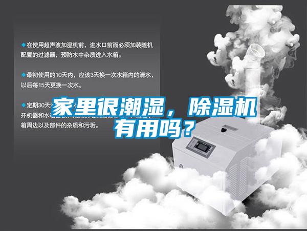 家里很潮濕，除濕機有用嗎？