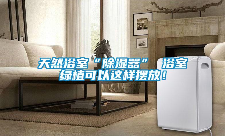 天然浴室“除濕器” 浴室綠植可以這樣擺放!