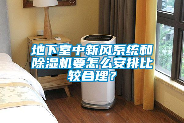 地下室中新風(fēng)系統(tǒng)和除濕機(jī)要怎么安排比較合理?