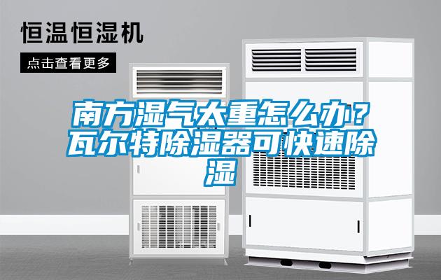 南方濕氣太重怎么辦？瓦爾特除濕器可快速除濕