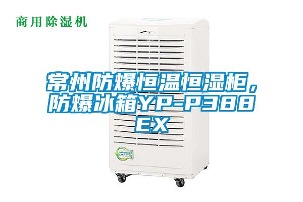 常州防爆恒溫恒濕柜,防爆冰箱YP-P388EX