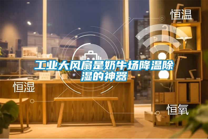 工業大風扇是奶牛場降溫除濕的神器