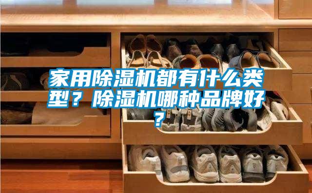 家用除濕機都有什么類型?除濕機哪種品牌好?