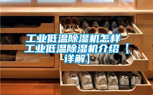 工業低溫除濕機怎樣 工業低溫除濕機介紹【詳解】