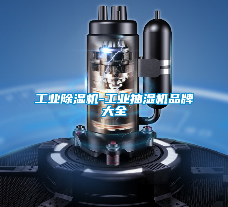 工業除濕機-工業抽濕機品牌大全