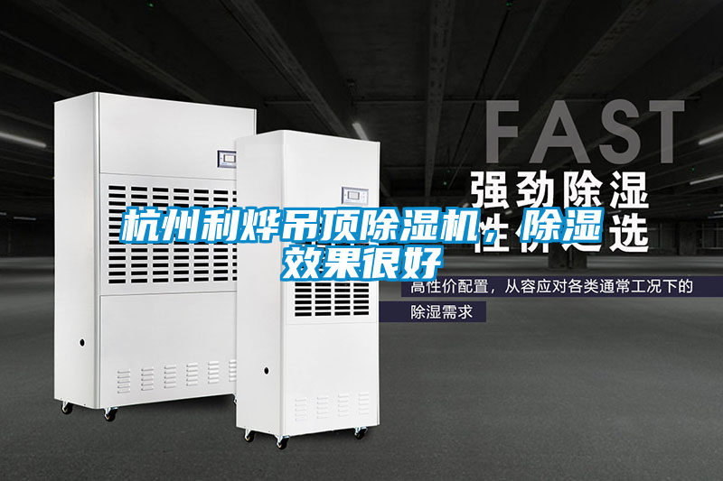 杭州利燁吊頂除濕機,除濕效果很好