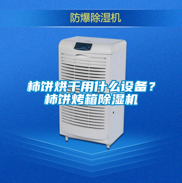 柿餅烘干用什么設備?柿餅烤箱除濕機