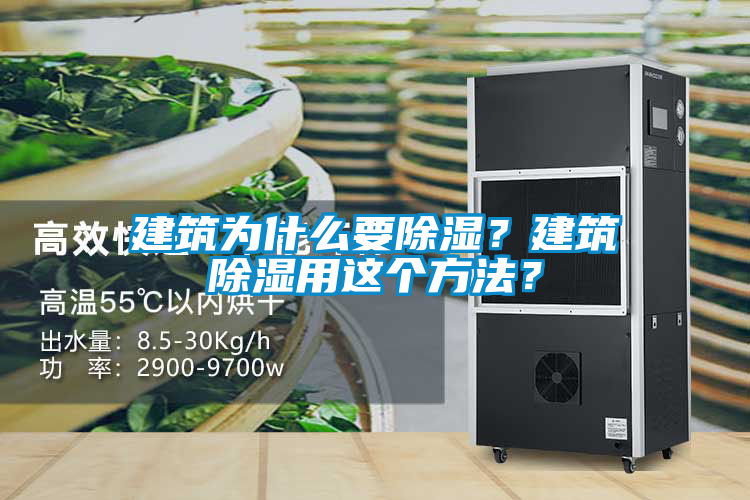 建筑為什么要除濕？建筑除濕用這個方法？