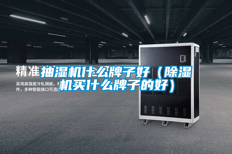 抽濕機什么牌子好（除濕機買什么牌子的好）