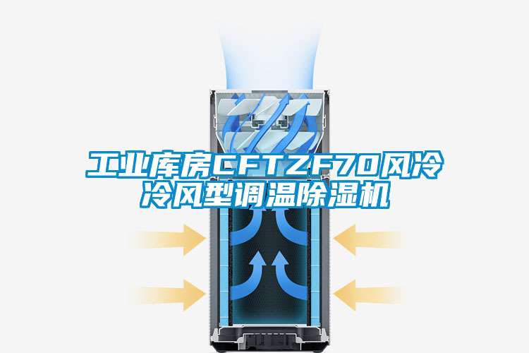 工業(yè)庫房CFTZF70風冷冷風型調溫除濕機