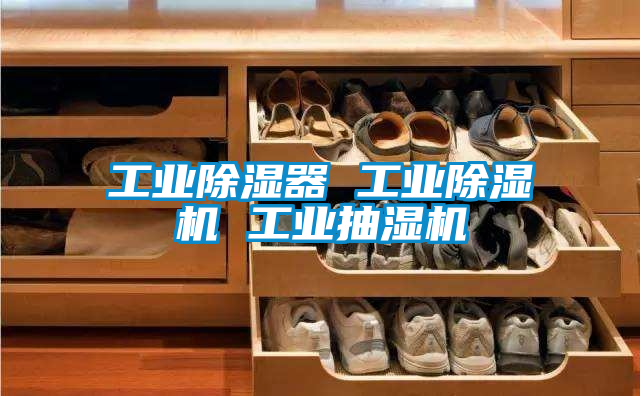 工業除濕器 工業除濕機 工業抽濕機