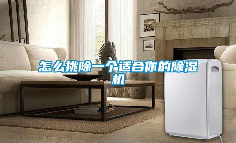 怎么挑除一個(gè)適合你的除濕機(jī)